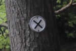X-Schild